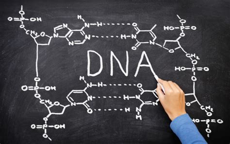 wonderopolis|wonderopolis what is dna.